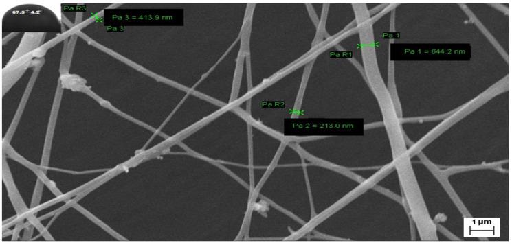 https://cdn.ncbi.nlm.nih.gov/pmc/blobs/acc2/10458241/52895d5c69c6/nanomaterials-13-02305-g007.jpg