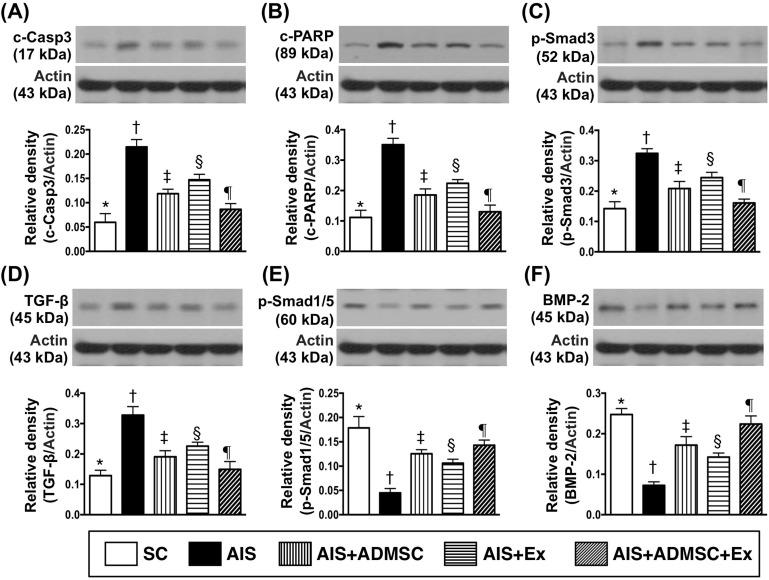 https://cdn.ncbi.nlm.nih.gov/pmc/blobs/acc2/5342685/04bf03ec77cf/oncotarget-07-74537-g006.jpg