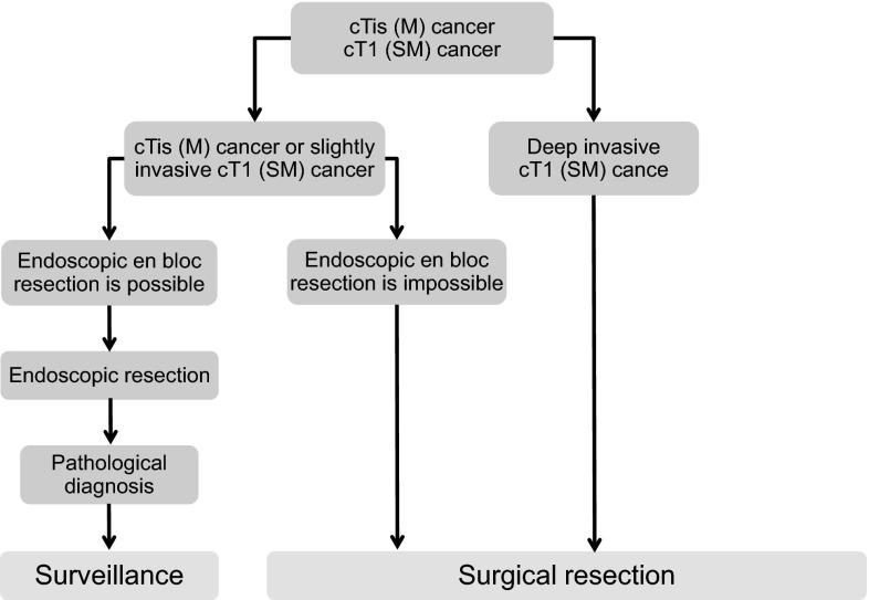 https://cdn.ncbi.nlm.nih.gov/pmc/blobs/acc4/4653248/fded48ff2cf9/10147_2015_801_Fig1_HTML.jpg