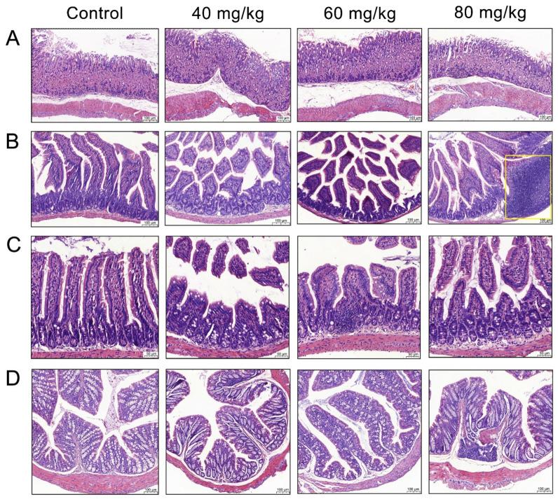 https://cdn.ncbi.nlm.nih.gov/pmc/blobs/acc4/8909049/4ea943f0fe8f/foods-11-00686-g002.jpg
