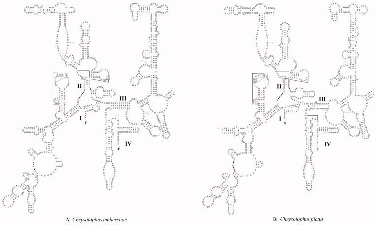 https://cdn.ncbi.nlm.nih.gov/pmc/blobs/acc5/8741247/0bbbb160523f/TMDN_A_1997658_F0003_C.jpg