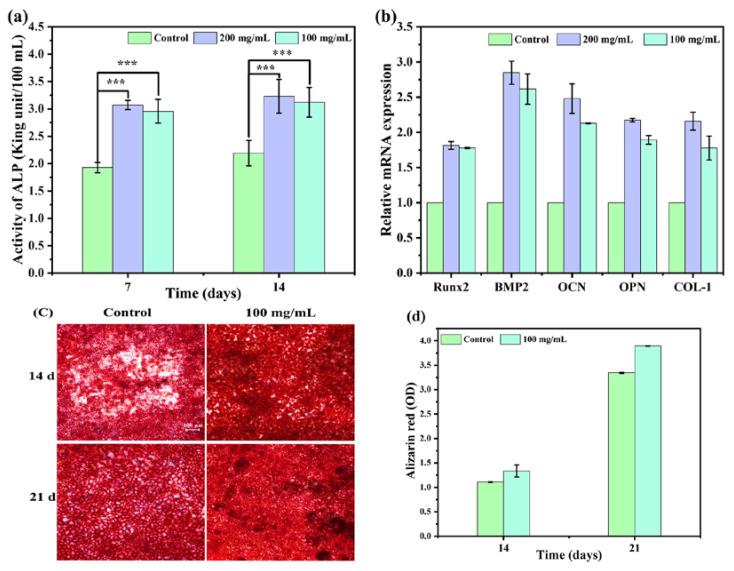 https://cdn.ncbi.nlm.nih.gov/pmc/blobs/acc6/11051185/01c298e87f43/materials-17-01861-g006.jpg