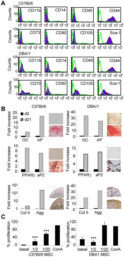 https://cdn.ncbi.nlm.nih.gov/pmc/blobs/acc6/2998425/8878d6aa6e75/pone.0014247.g001.jpg