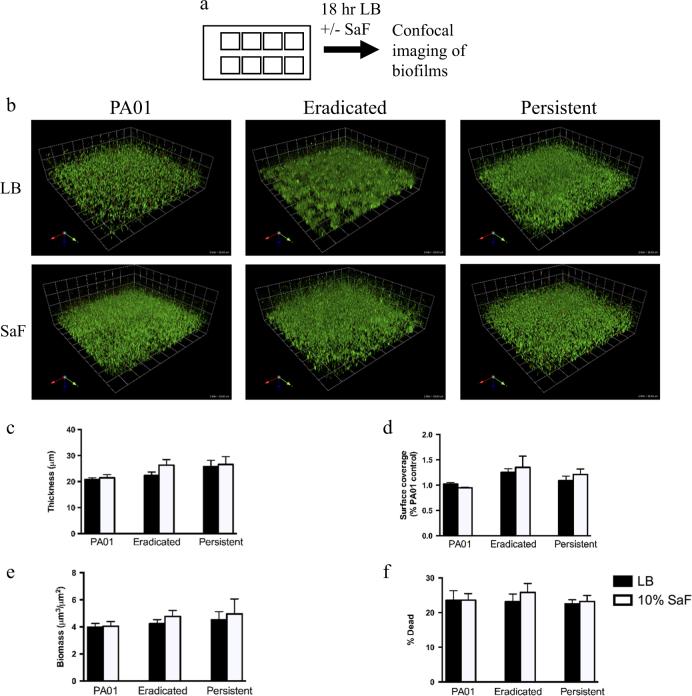 https://cdn.ncbi.nlm.nih.gov/pmc/blobs/acc8/5648753/5ef3a7cce3bd/41522_2017_35_Fig1_HTML.jpg