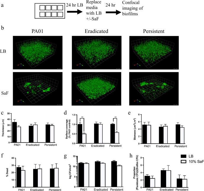 https://cdn.ncbi.nlm.nih.gov/pmc/blobs/acc8/5648753/9cf34d02f9e0/41522_2017_35_Fig2_HTML.jpg