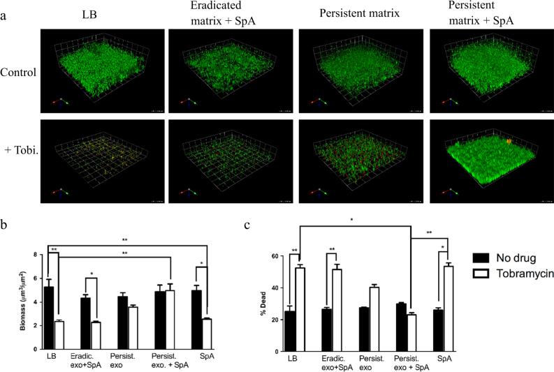 https://cdn.ncbi.nlm.nih.gov/pmc/blobs/acc8/5648753/ad31c2abe14f/41522_2017_35_Fig6_HTML.jpg