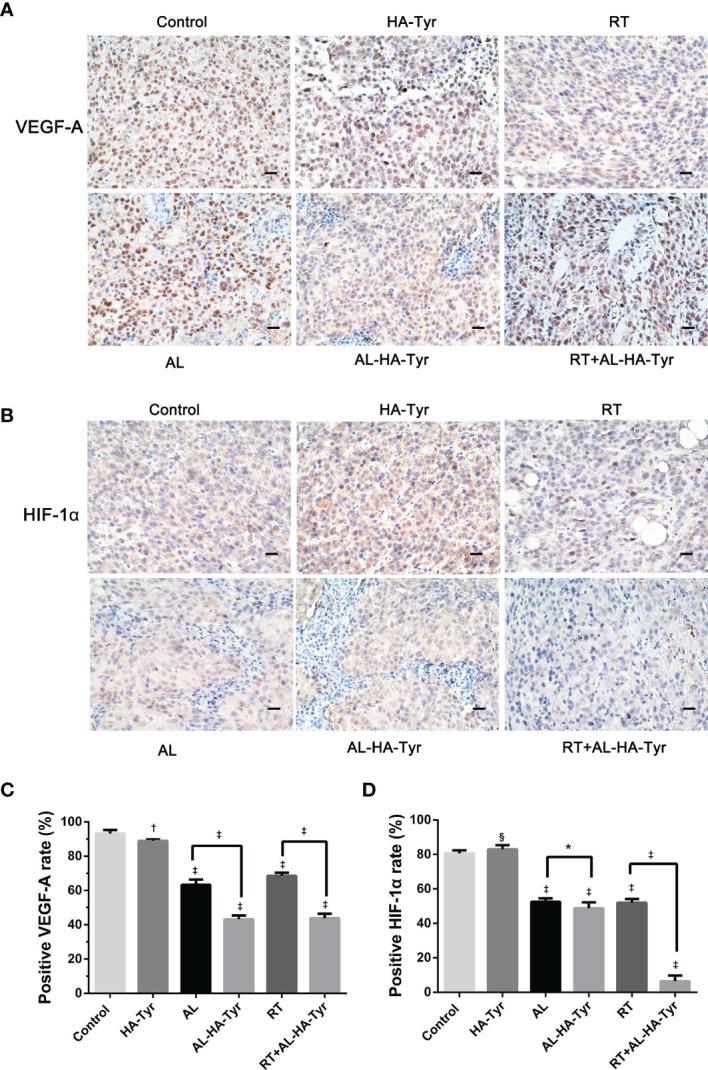 https://cdn.ncbi.nlm.nih.gov/pmc/blobs/acc8/7994889/b11a7a84e5e7/fonc-11-628895-g007.jpg