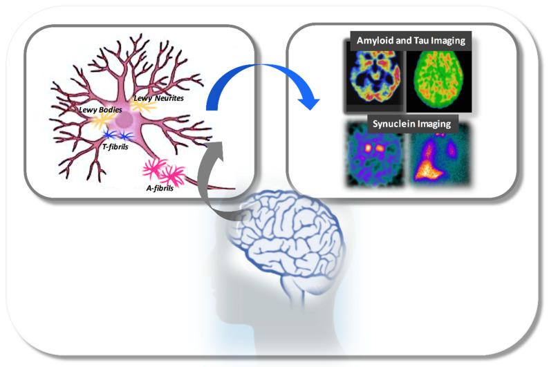 https://cdn.ncbi.nlm.nih.gov/pmc/blobs/acc9/8069386/b1400730329c/ijms-22-03960-g001.jpg