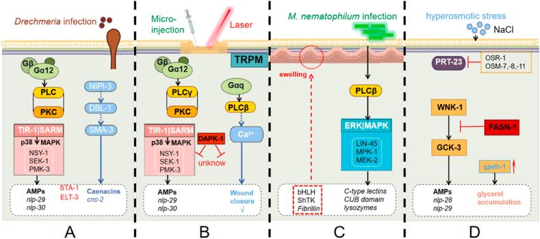 https://cdn.ncbi.nlm.nih.gov/pmc/blobs/accd/11471208/348c97355b9d/gr3.jpg