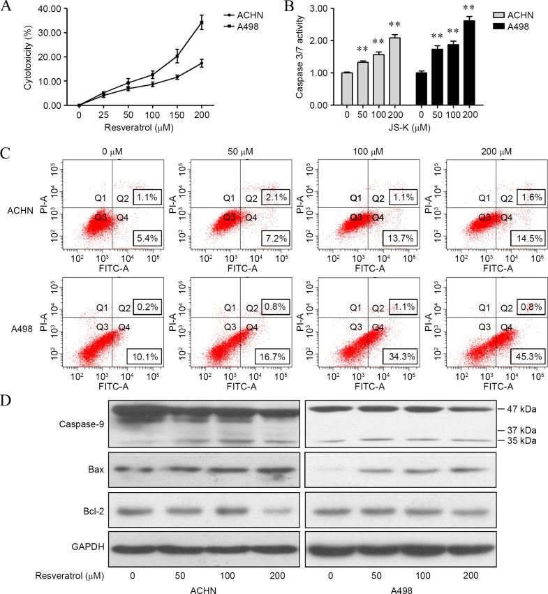 https://cdn.ncbi.nlm.nih.gov/pmc/blobs/acd0/5351218/69196fdc2976/ol-13-02-0613-g01.jpg