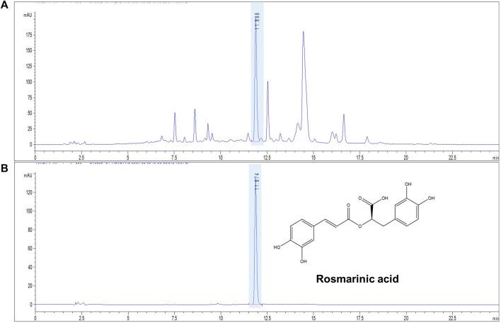 https://cdn.ncbi.nlm.nih.gov/pmc/blobs/acd2/10283040/fa1470e8ca3c/fphar-14-1176073-g001.jpg