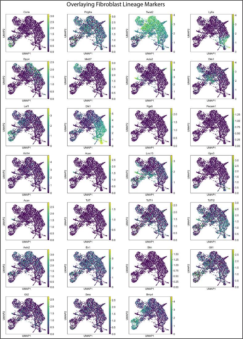 https://cdn.ncbi.nlm.nih.gov/pmc/blobs/acd4/7524549/32763426e834/elife-60066-fig2-figsupp1.jpg