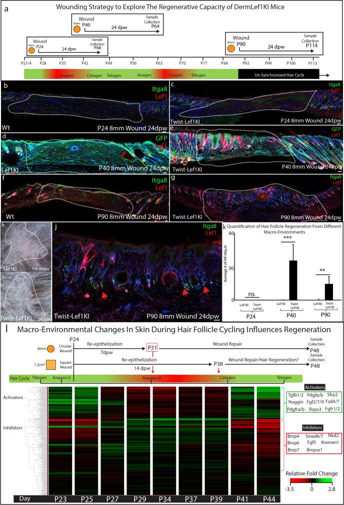 https://cdn.ncbi.nlm.nih.gov/pmc/blobs/acd4/7524549/873985fb601f/elife-60066-fig5.jpg