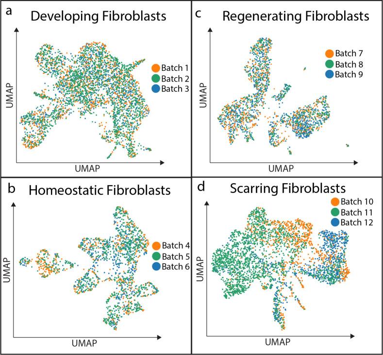 https://cdn.ncbi.nlm.nih.gov/pmc/blobs/acd4/7524549/a421881bd7ec/elife-60066-fig1-figsupp2.jpg