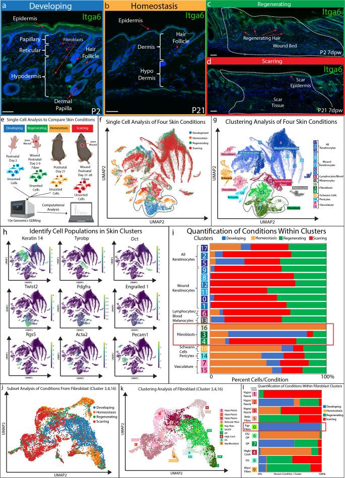 https://cdn.ncbi.nlm.nih.gov/pmc/blobs/acd4/7524549/f6aba518bc4c/elife-60066-fig1.jpg