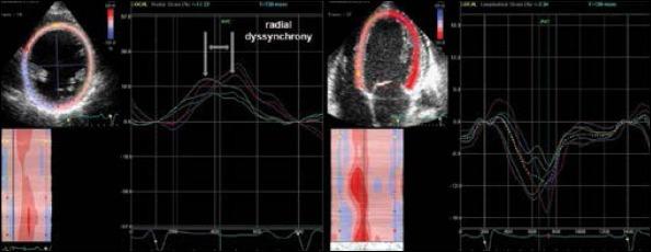 https://cdn.ncbi.nlm.nih.gov/pmc/blobs/acd5/5336861/31a50d8abdab/AJC-15-620-g001.jpg