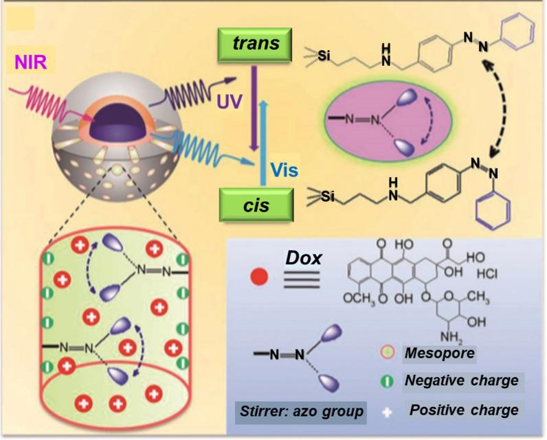 https://cdn.ncbi.nlm.nih.gov/pmc/blobs/acd7/8917689/15919a8f0b9d/12951_2022_1315_Fig6_HTML.jpg