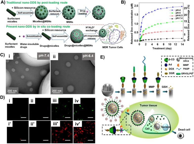 https://cdn.ncbi.nlm.nih.gov/pmc/blobs/acd7/8917689/3ecafbacbd8b/12951_2022_1315_Fig5_HTML.jpg