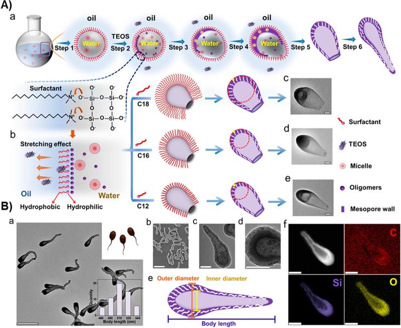 https://cdn.ncbi.nlm.nih.gov/pmc/blobs/acd7/8917689/7d7f0bdbf1a4/12951_2022_1315_Fig4_HTML.jpg