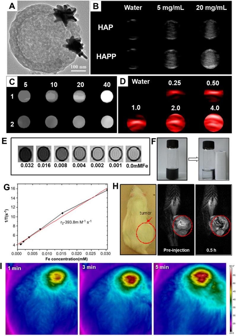 https://cdn.ncbi.nlm.nih.gov/pmc/blobs/acd7/8917689/a487249ca03b/12951_2022_1315_Fig12_HTML.jpg