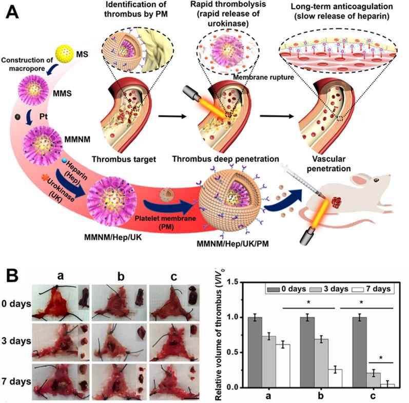 https://cdn.ncbi.nlm.nih.gov/pmc/blobs/acd7/8917689/e46d18ee3c48/12951_2022_1315_Fig11_HTML.jpg