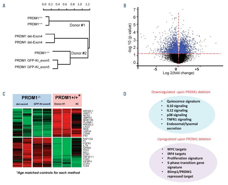 https://cdn.ncbi.nlm.nih.gov/pmc/blobs/acd8/8409030/6eabc44c0826/1062427.fig7.jpg