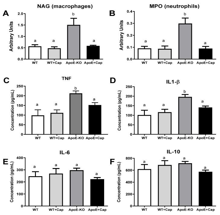 https://cdn.ncbi.nlm.nih.gov/pmc/blobs/acda/11435000/f98bad504769/nutrients-16-03167-g002.jpg