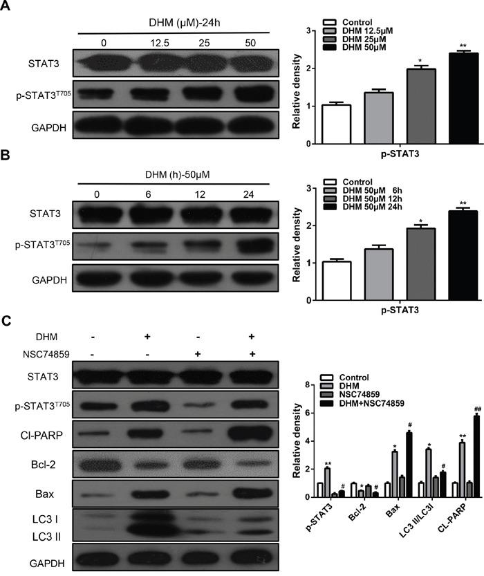 https://cdn.ncbi.nlm.nih.gov/pmc/blobs/acda/5312341/d6f1479b71d4/oncotarget-07-59691-g004.jpg