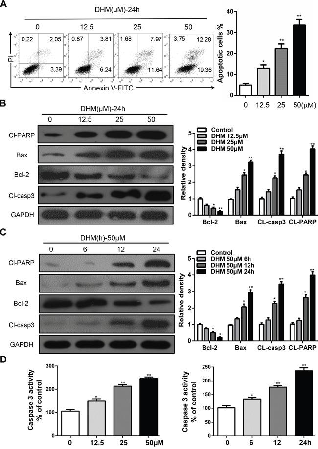 https://cdn.ncbi.nlm.nih.gov/pmc/blobs/acda/5312341/db1ca0d6e49a/oncotarget-07-59691-g001.jpg