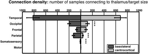 https://cdn.ncbi.nlm.nih.gov/pmc/blobs/acda/6867034/295a9b1301a3/HBM-38-3927-g004.jpg