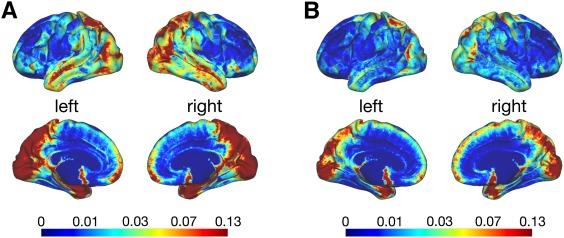 https://cdn.ncbi.nlm.nih.gov/pmc/blobs/acda/6867034/b5859adb3fc4/HBM-38-3927-g005.jpg