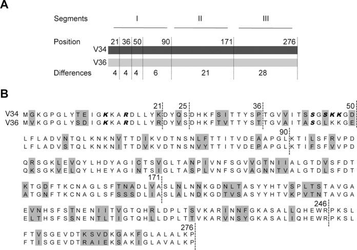 https://cdn.ncbi.nlm.nih.gov/pmc/blobs/acdb/4150812/3d3e15fd6986/gku728fig3.jpg