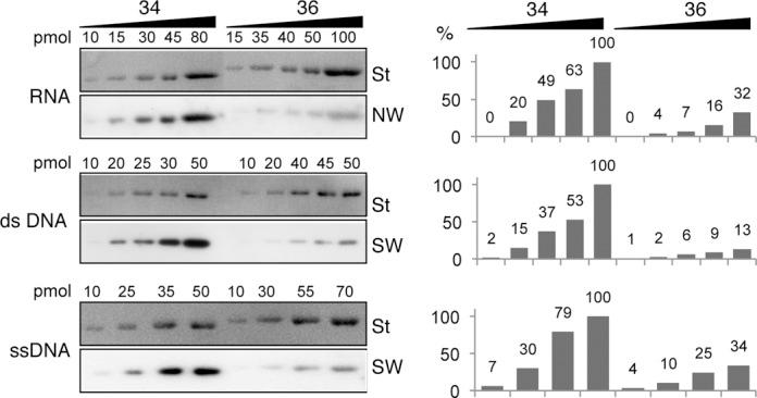 https://cdn.ncbi.nlm.nih.gov/pmc/blobs/acdb/4150812/ce11374724c9/gku728fig2.jpg