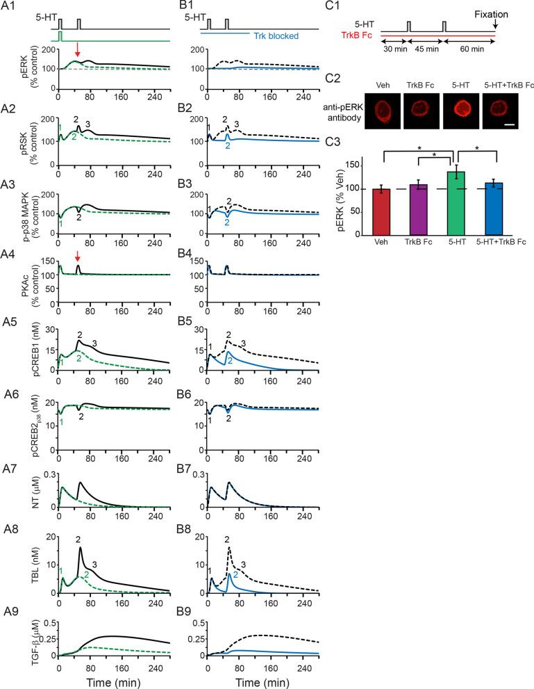 https://cdn.ncbi.nlm.nih.gov/pmc/blobs/acdb/8298407/7f77ba6707dd/41598_2021_94393_Fig5_HTML.jpg