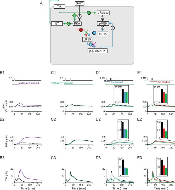 https://cdn.ncbi.nlm.nih.gov/pmc/blobs/acdb/8298407/edef410e51b2/41598_2021_94393_Fig6_HTML.jpg