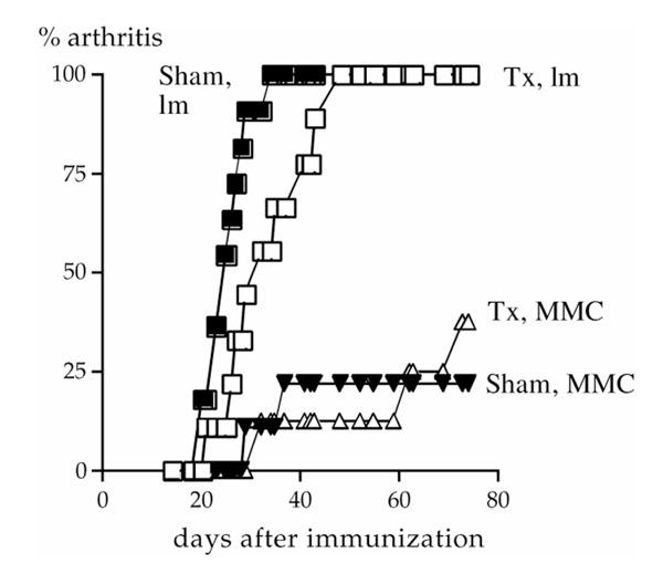 https://cdn.ncbi.nlm.nih.gov/pmc/blobs/acdc/17814/15c04da40915/ar-2-4-315-2.jpg