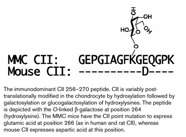 https://cdn.ncbi.nlm.nih.gov/pmc/blobs/acdc/17814/abfe108f6d8f/ar-2-4-315-1.jpg