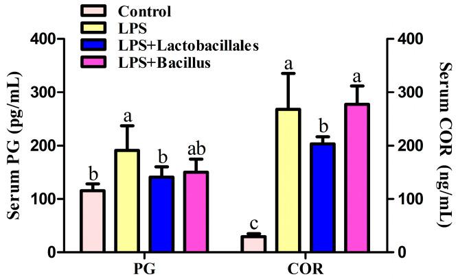 https://cdn.ncbi.nlm.nih.gov/pmc/blobs/acde/12347829/3ece9f8cb22c/ijms-26-07646-g001.jpg