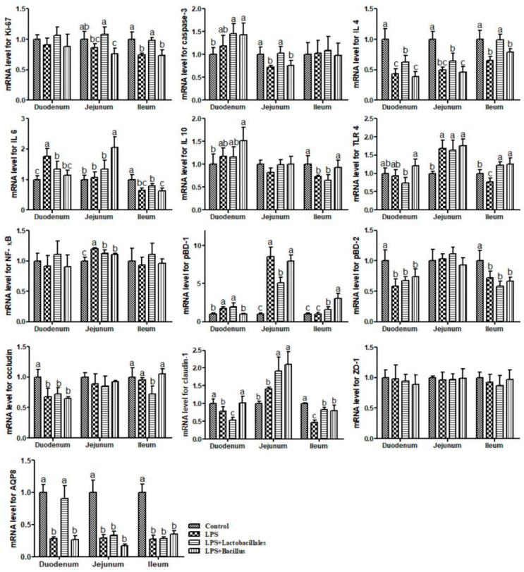 https://cdn.ncbi.nlm.nih.gov/pmc/blobs/acde/12347829/b93130079350/ijms-26-07646-g005.jpg