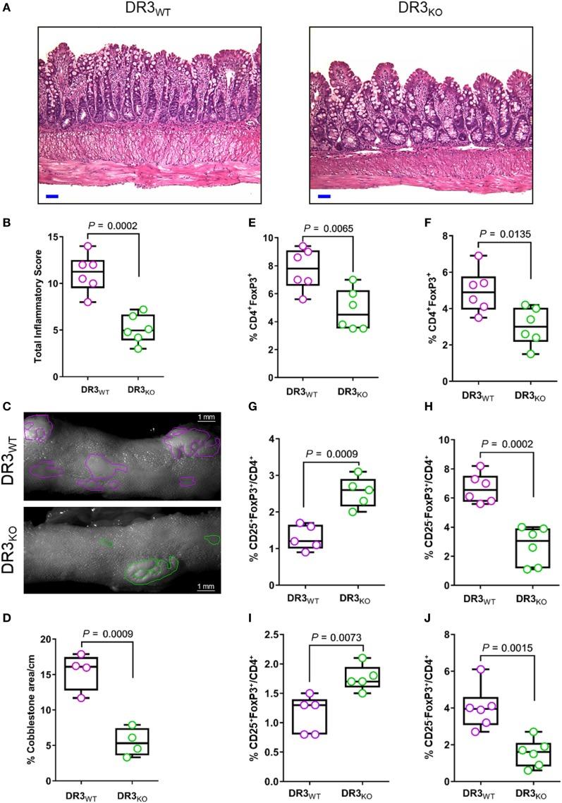 https://cdn.ncbi.nlm.nih.gov/pmc/blobs/acde/5837992/5bd540d2f0c6/fimmu-09-00362-g004.jpg