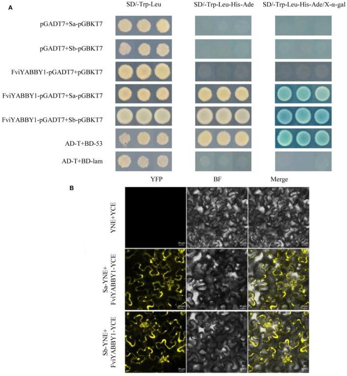 https://cdn.ncbi.nlm.nih.gov/pmc/blobs/acde/9515988/c154708cccdd/fpls-13-927001-g0008.jpg