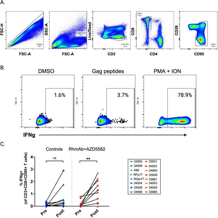 https://cdn.ncbi.nlm.nih.gov/pmc/blobs/ace0/10579098/059e26074636/41591_2023_2570_Fig10_ESM.jpg