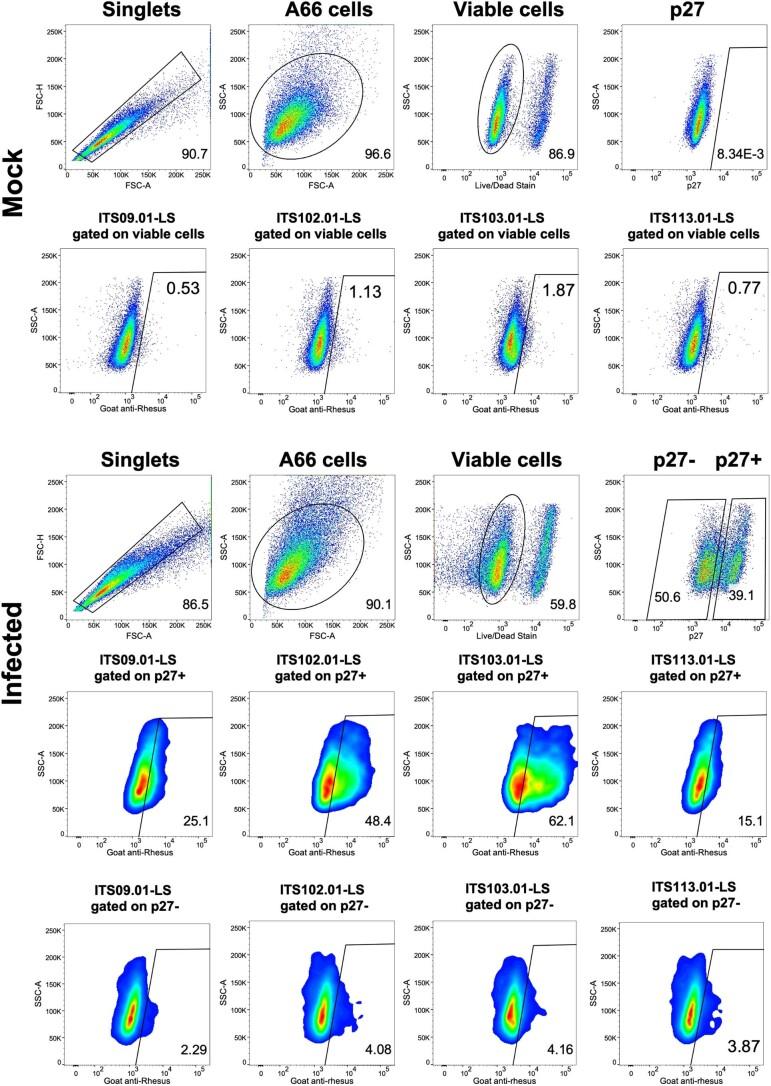 https://cdn.ncbi.nlm.nih.gov/pmc/blobs/ace0/10579098/c02ed5ba8413/41591_2023_2570_Fig5_ESM.jpg