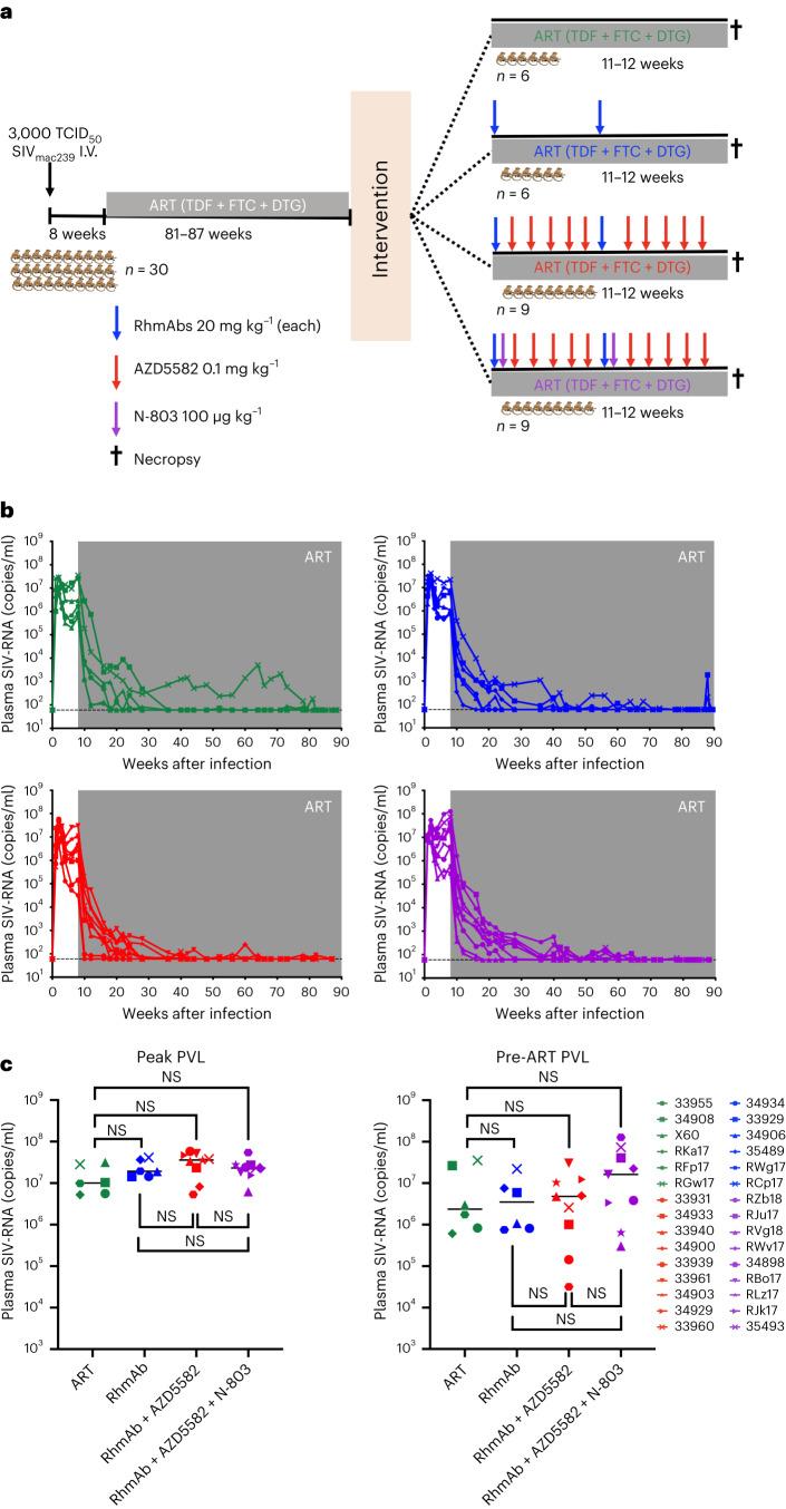 https://cdn.ncbi.nlm.nih.gov/pmc/blobs/ace0/10579098/ffc3b28d0db1/41591_2023_2570_Fig1_HTML.jpg