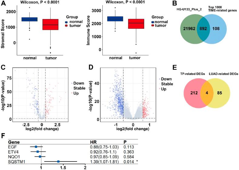 https://cdn.ncbi.nlm.nih.gov/pmc/blobs/ace0/12280890/4ec5684539b9/gr1.jpg