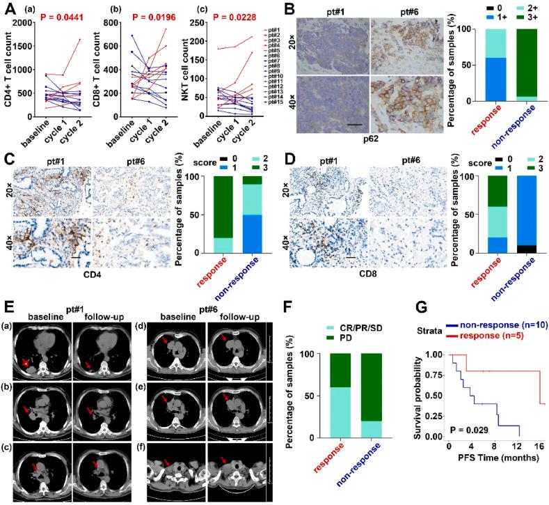 https://cdn.ncbi.nlm.nih.gov/pmc/blobs/ace0/12280890/b7424ee0df71/gr6.jpg