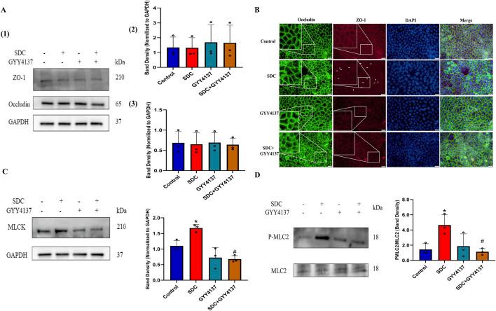 https://cdn.ncbi.nlm.nih.gov/pmc/blobs/ace1/11539038/903c9b6b3fc1/fphar-15-1476407-g003.jpg