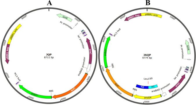 https://cdn.ncbi.nlm.nih.gov/pmc/blobs/ace3/10148788/a332fbd3b6d1/10123_2022_282_Fig2_HTML.jpg
