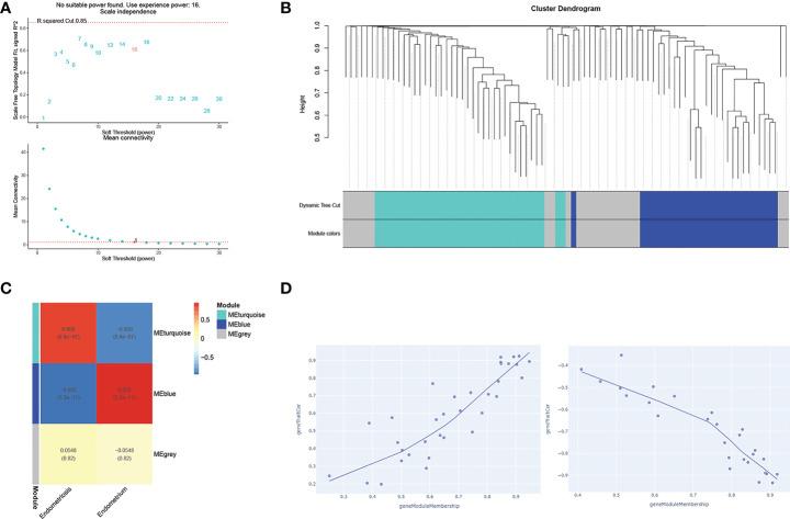 https://cdn.ncbi.nlm.nih.gov/pmc/blobs/ace3/9748153/0b575969dc33/fimmu-13-1037504-g009.jpg