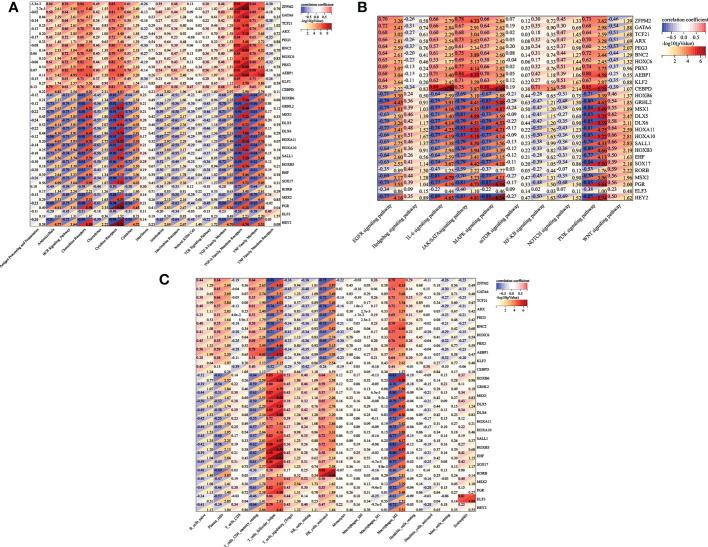 https://cdn.ncbi.nlm.nih.gov/pmc/blobs/ace3/9748153/24911975185a/fimmu-13-1037504-g006.jpg